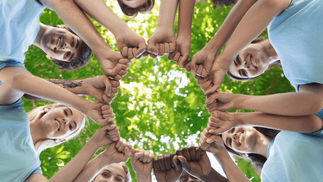 Activité(s) de team building